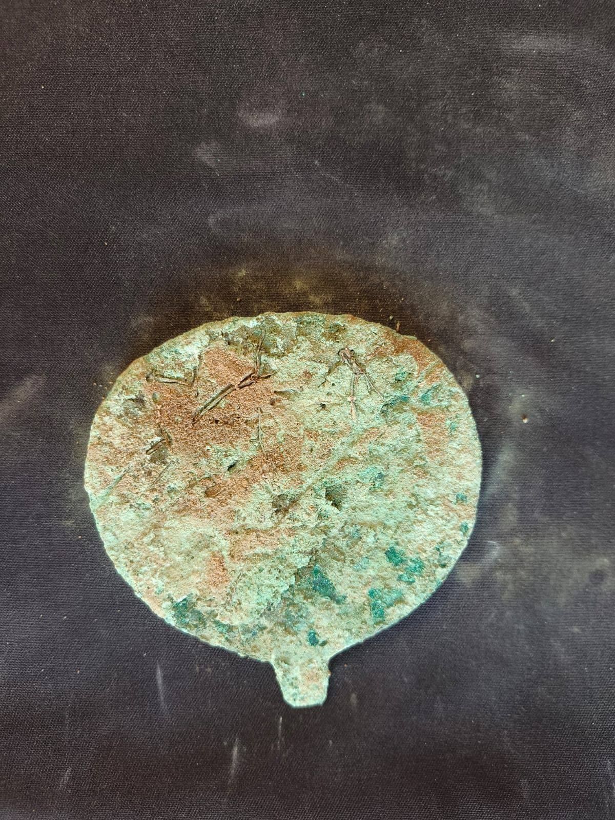 2e9c6b6406.jpg