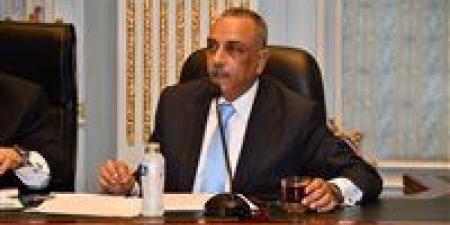 الطماوي: اللائحة التنفيذية لقانون لجوء الأجانب تعزز حماية اللاجئين وتدعم الأمن القومي