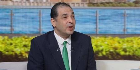 باحث: الاحتلال يستغل حزب الله وحماس كذريعة لفرض واقع جديد