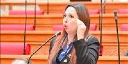 البرلمان يناقش شكاوى المواطنين من زيادة تكلفة الكهرباء للعدادات الكودية بعد طلب  إحاطة نشوى الشريف