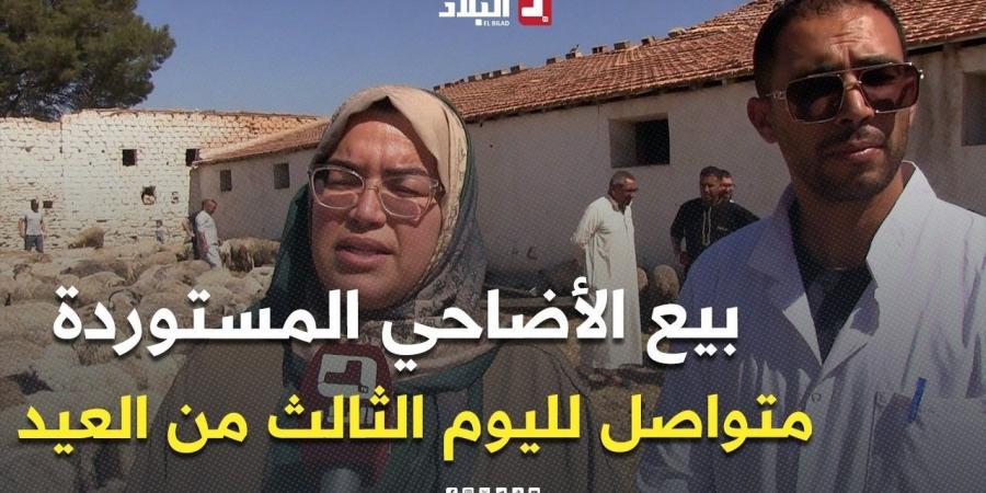 لليوم الثالث من عيد الأضحى المبارك.. استمرار بيع الأضاحي المستوردة عبر نقاط البيع بـ #سطيف